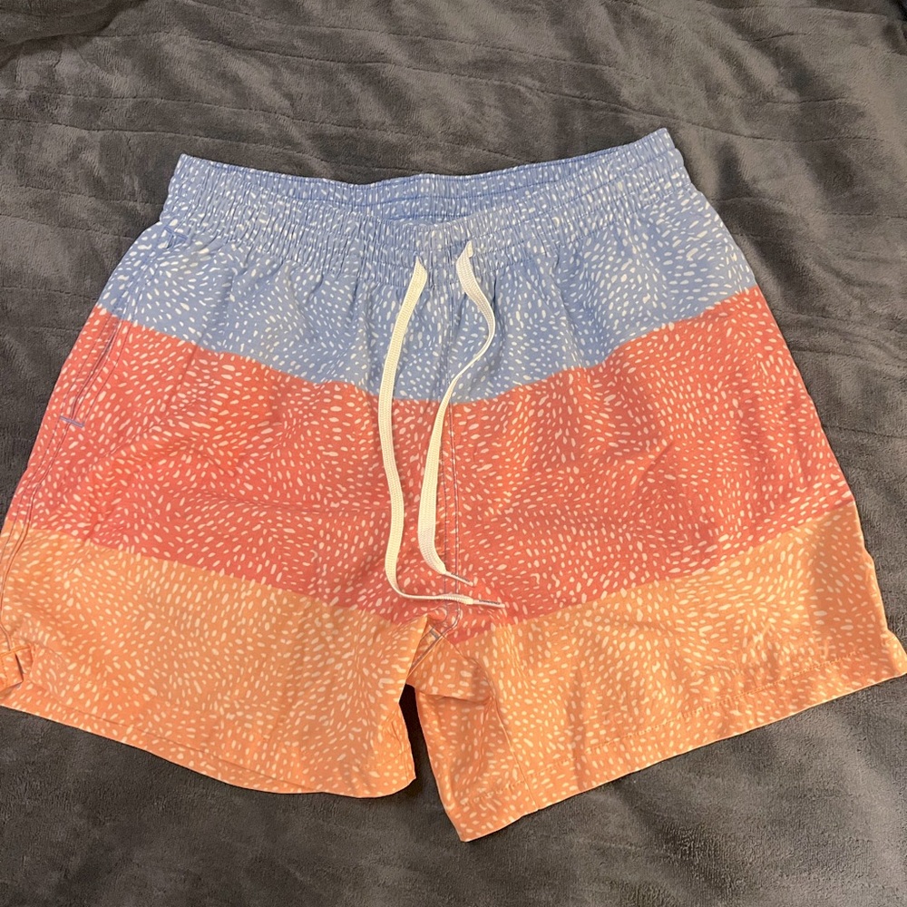 Chubbies Classic Swim Trunks - 5.5” Inseam - Medium